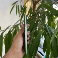 گوشی نوت ۱۲ اس / note 12 s / 256g / باز نشده،دوسیم|موبایل|مشهد, ایوان|دیوار