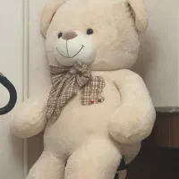 خرس پشمالو