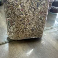 خوراک طوطی سانان+عروس هلندی+اقتصادی+فوری ارسال دار