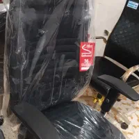 کارمندی713سهند|دفتر کار|یزد, |دیوار