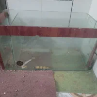 اکواریم|ماهی|خمینی‌شهر, |دیوار