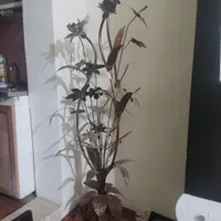 اباژور
