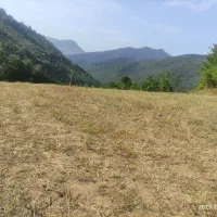 فروش زمین باغی در ریگ چشمه|فروش زمین و ملک کلنگی|مینودشت, |دیوار