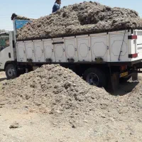 کاه مناسب|لوازم جانبی حیوانات|قزوین, |دیوار