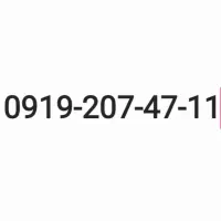 0919-207-47-11