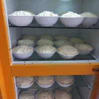 فروش تک وعمده|عمده‌فروشی|گلوگاه بابل (گلیا), |دیوار