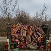 پخش هیزم ۵ کیلویی