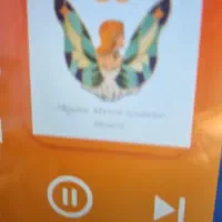 شش لنگه النگو