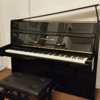 پیانو STEINWAY&SONS مدل Z