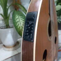 عود برقی|سازهای سنتی|داراب, |دیوار