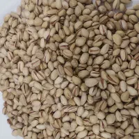 پسته فندوقی بادامی