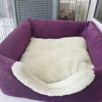 وسایل سگ یا گربه