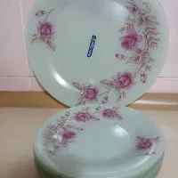 سرویس پذیرای نو