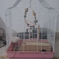 قفس پرنده