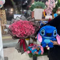 طبیعی|گل و گیاه طبیعی|ارومیه, |دیوار