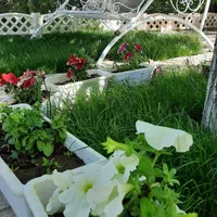 اجاره روزانه/هفتگی/ماهانه ویلا ۱۰۰۰ متری