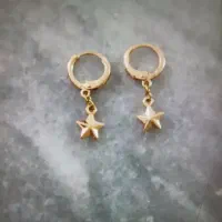 گوشواره استیل