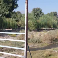شراکت برای راه اندازی سفرخونه|مشارکت در ساخت املاک|کرمان, |دیوار