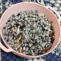 آکواریوم وینگ
