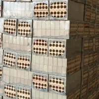 اجر تکنو نما