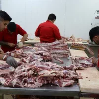 کارگر ساده وسط کار