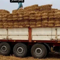 سبوس و کنسانتره پروار|عمدهفروشی|کاشمر, |دیوار