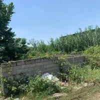 قروشن‌زمین کوی ذانشگاه پایین لموک|فروش زمین و ملک کلنگی|ارطه, |دیوار