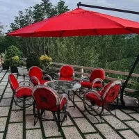 صندلی مبل باغی ست گالسگه|صندلی و نیمکت|شیراز, قالیشویی|دیوار