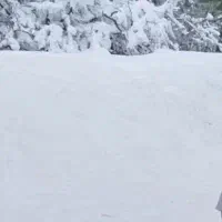 دنبال-خونه-در-اطراف-اندیشه-برا-فروش