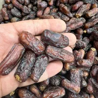 خرما مجول