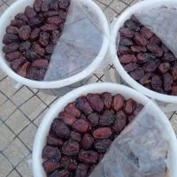 خرمای خاصویی درجه یک بهبهان تازه برداشت امسال|خوردنی و آشامیدنی|تهران, مرزداران|دیوار