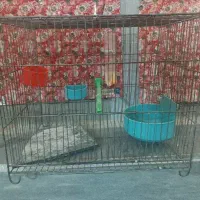 قفس پرنده