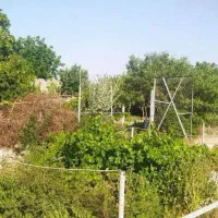 کارخانه کارتن سازی|فروش دفتر صنعتی، کشاورزی، تجاری|رباطکریم, رباطکریم|دیوار