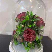 گل ربانی مناسب برای هدیه دادن و دیزاین منزل