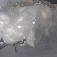 بهپر اس پی 200 طرح باکسر