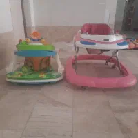 دوعدد روروک...