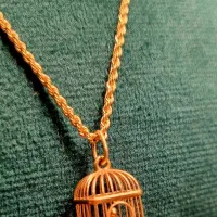 آویز مرغ آمین- فقط ۶ درصد