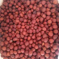 عناب