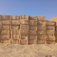 پرس کاه گندم بزرگ