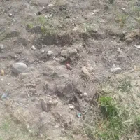 مشارکت در ساخت