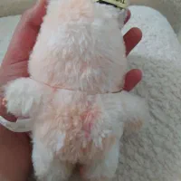 لبوبو خوشگل|اسباب‌بازی بچه|سنندج, |دیوار