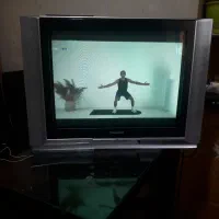 تلویزیون|تلویزیون و پروژکتور|نیشابور, مدرس|دیوار