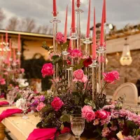 تشریفات مجالس برگزاری مراسم عروسی عقد نامزدی|خدمات پذیرایی، مراسم|کرج, کوی کارمندان شمالی|دیوار