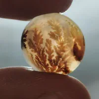 انگشتر|جواهرات|نورآباد, |دیوار