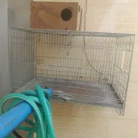 قفس جفت کن.یا پرنده زینتی