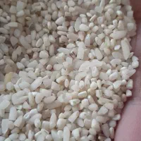 برنج سالم و نیمدانه|خوردنی و آشامیدنی|بروجرد, |دیوار