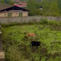 ۵۰۰متر مسکونی دارای سند و پروانه دو طبقه بریک جنگل