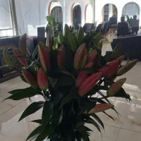 اجاره اتاق ولاین درسالن زیبایی