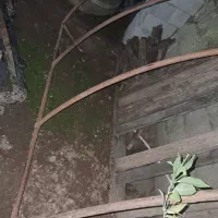 سربندی وانت