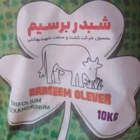 شبدر شرکتی برسیم